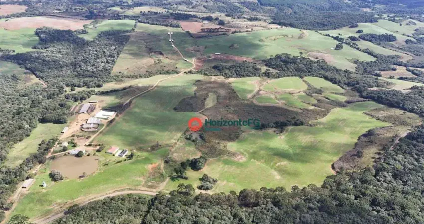 Fazenda à venda, 90 alqueires  - Zona Rural - Guarapuava/PR