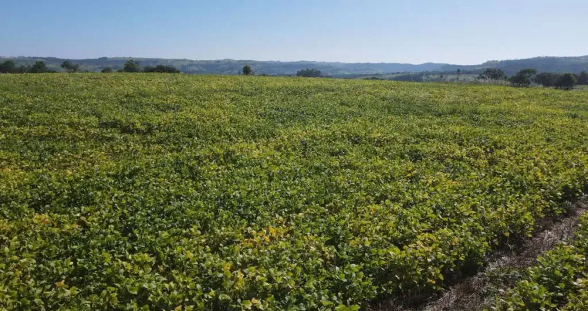 Chácara / sítio à venda no Zona Rural, Guaraniaçu