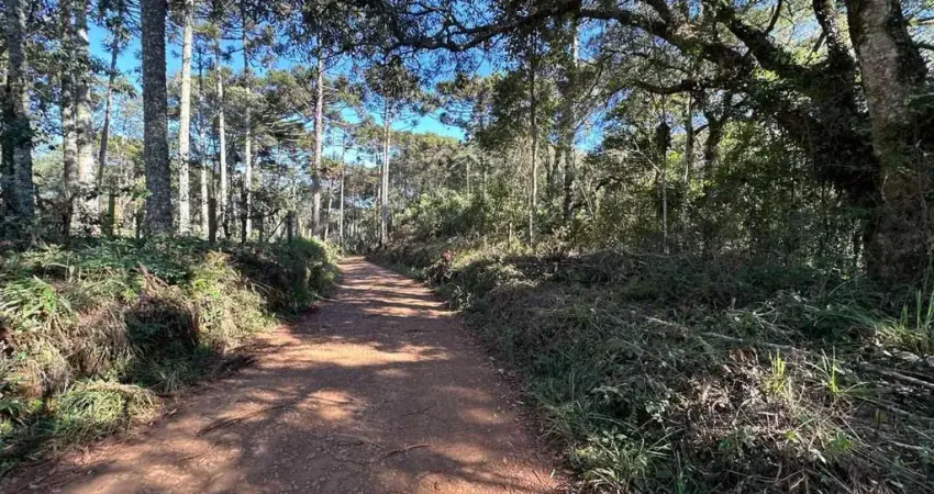 Chácara / sítio à venda na Área Rural de Guarapuava, Guarapuava 