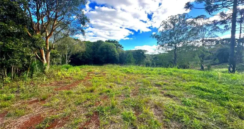 Chácara / sítio à venda no Palmeirinha, Guarapuava 