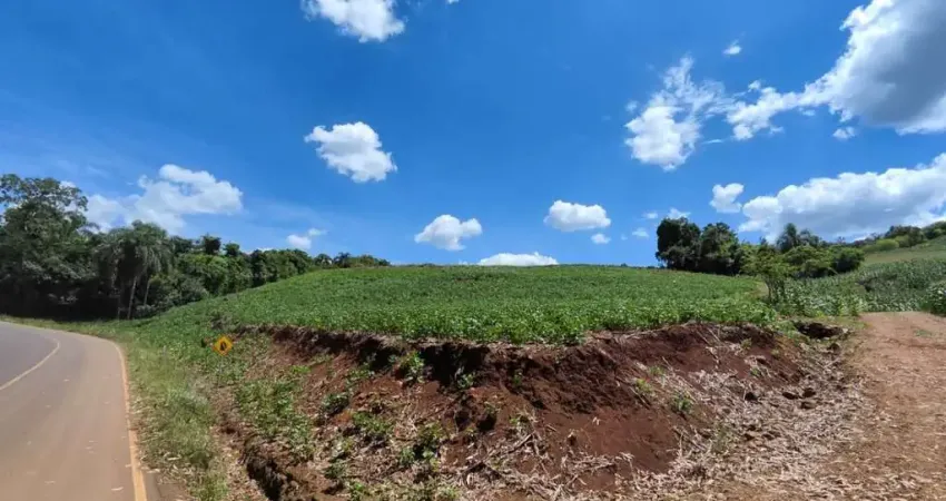 Chácara / sítio à venda na Zona Rural, Candói 