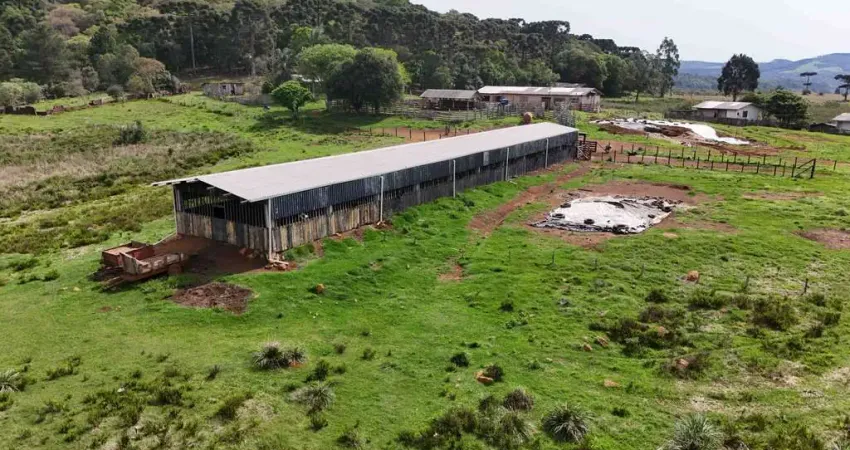 Chácara / sítio à venda na Área Rural de Guarapuava, Guarapuava