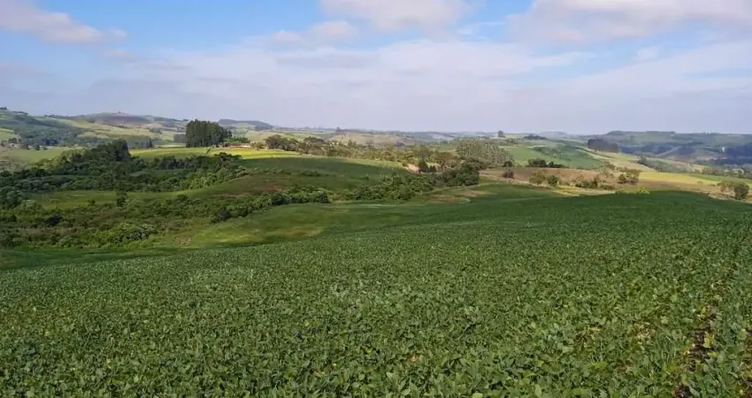 Chácara / sítio à venda na Zona Rural, Goioxim