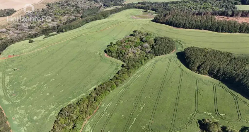 Chácara / sítio à venda na Zona Rural, Campina do Simão 