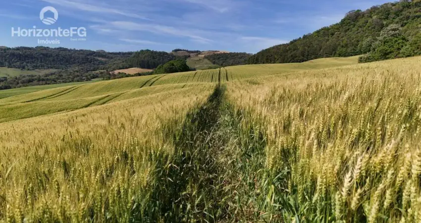 Chácara / sítio à venda na Zona Rural, Candói
