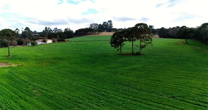 Chácara / sítio à venda na Área Rural de Guarapuava, Guarapuava