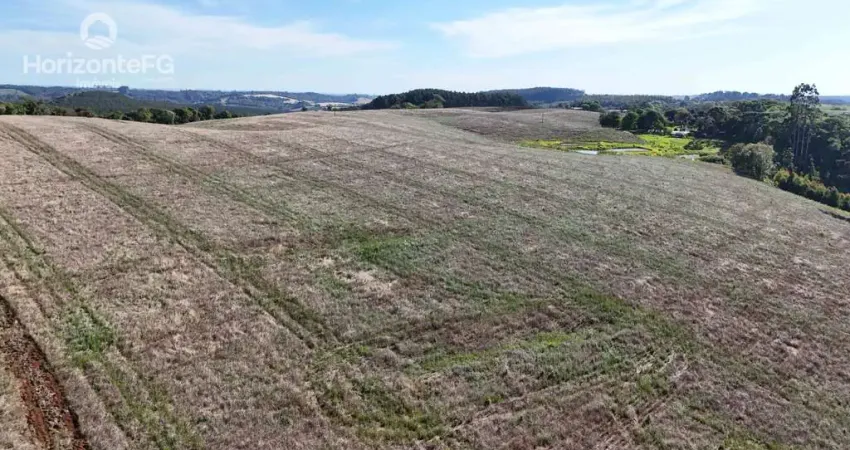 Chácara / sítio à venda na Área Rural de Guarapuava, Guarapuava 