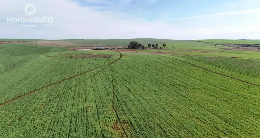 Chácara / sítio à venda na Área Rural de Guarapuava, Guarapuava 