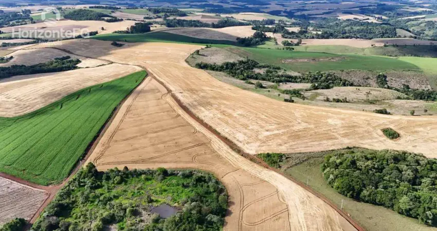 Chácara / sítio com 9 quartos à venda na Área Rural de Guarapuava, Guarapuava