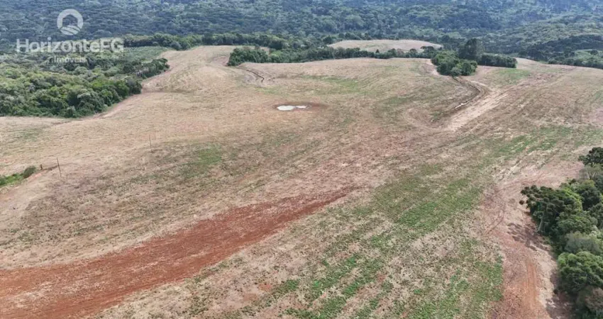 Chácara / sítio à venda na Área Rural de Guarapuava, Guarapuava