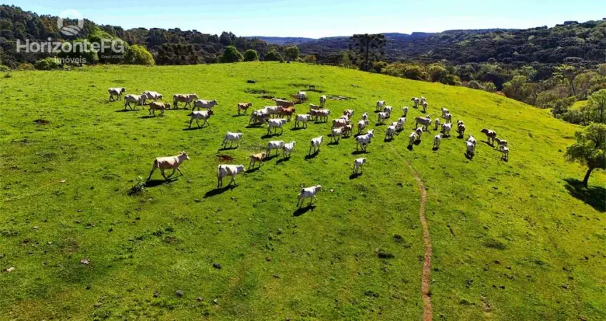 Chácara / sítio à venda na Área Rural de Guarapuava, Guarapuava