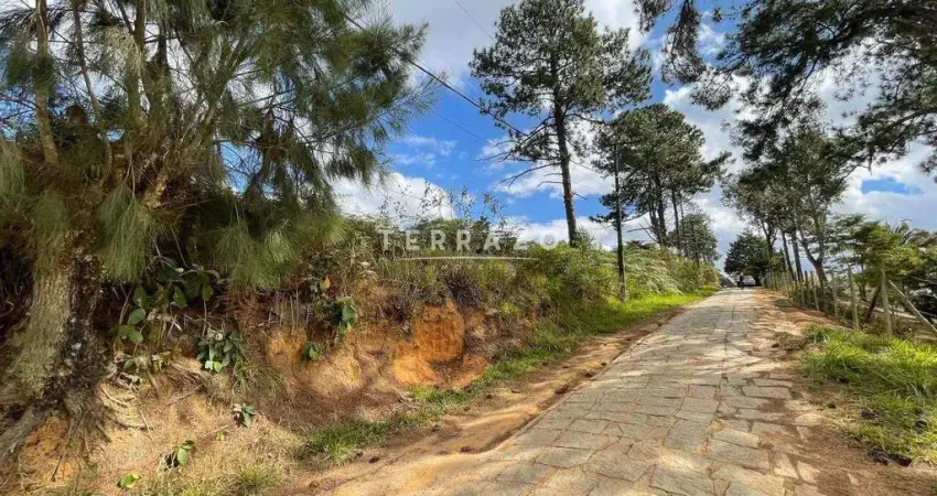 Terreno à venda no Fazenda Suiça, Teresópolis 