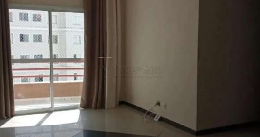 Apartamento para Locação | Trinta e Um de Março, SJC