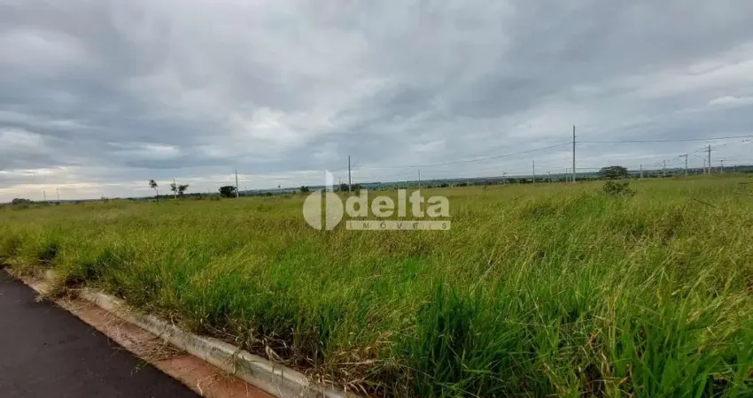 Terreno disponível para venda 266 m² no bairro Laranjeiras em Uberlândia-MG
