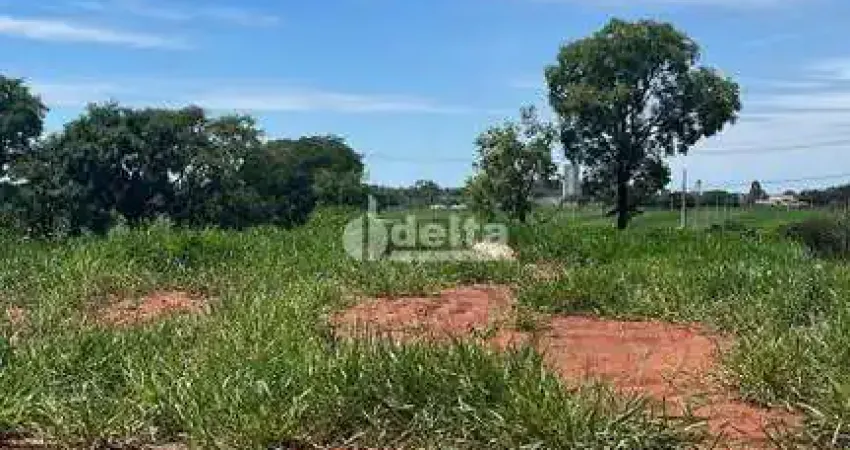 Terreno disponível para venda 250 m² no bairro Loteamento Luizote de Freitas IV em Uberlândia-MG