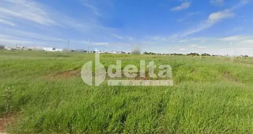 Terreno disponível para venda 250 m² no bairro Verde Umuarama em Uberlândia-MG
