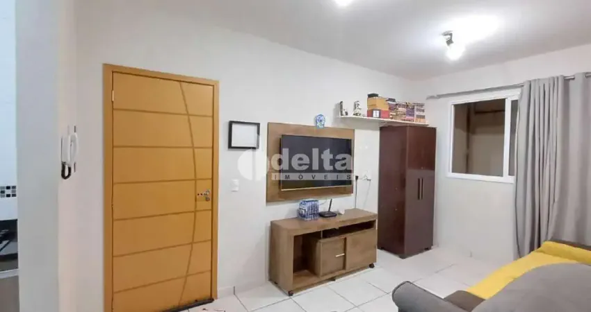 Apartamento com 2 quartos à venda no Novo Mundo, Uberlândia 