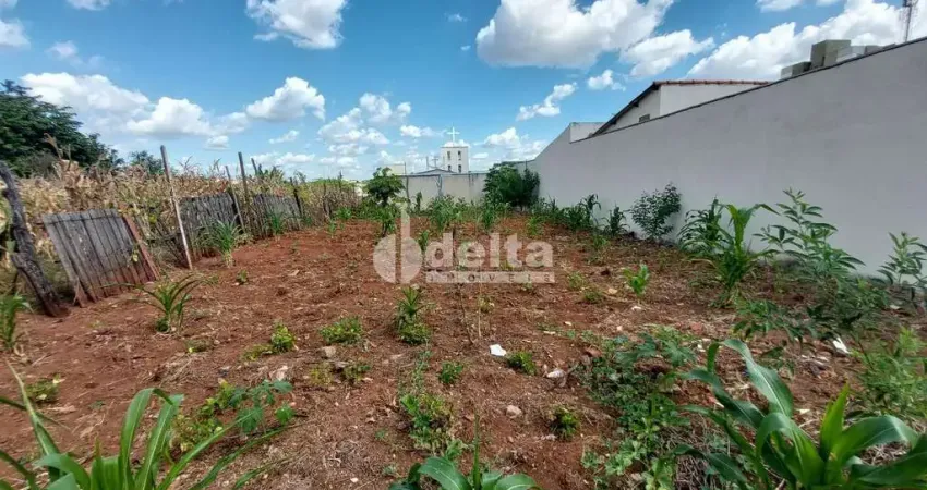 Terreno disponível para venda 300 m² no bairro pampulha em uberlândia-mg