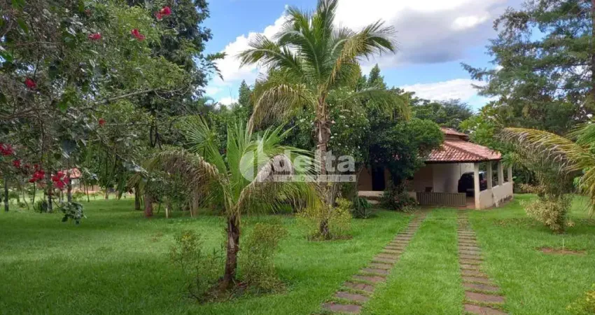 Chácara disponível para venda na zona rural de uberlândia em uberlândia-mg