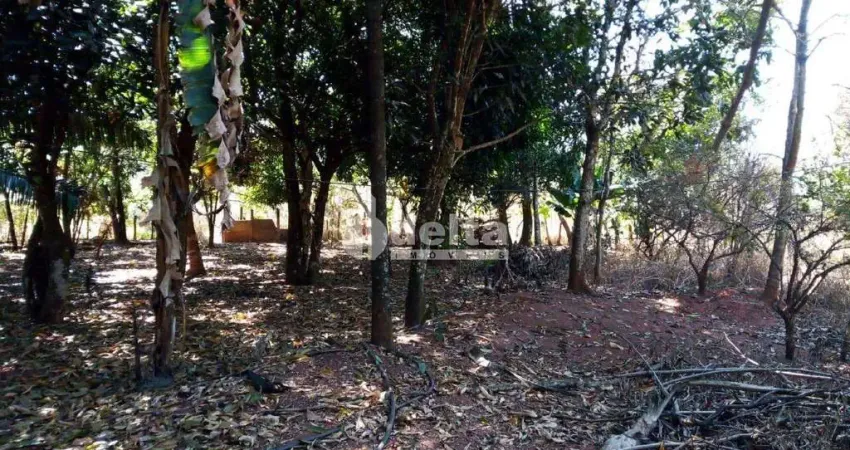 Chácara Residencial disponível para Venda no bairro Área Rural em Uberlândia-MG