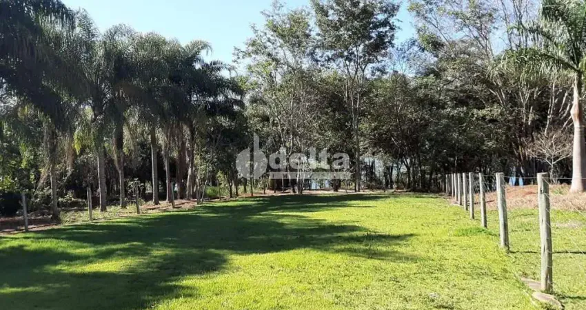 Chácara residencial disponível para venda no bairro área rural em uberlândia-mg