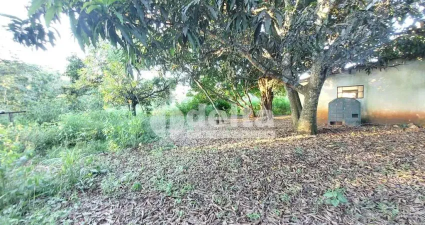 Chácara residencial disponível para venda no bairro área rural em uberlândia-mg