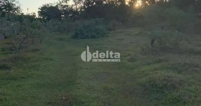 Chácara residencial disponível para venda no bairro chácara panorama em uberlândia-mg