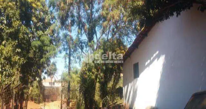 Chácara Residencial disponível para Venda no bairro Chácaras Tubalina e Quartel em Uberlândia-MG