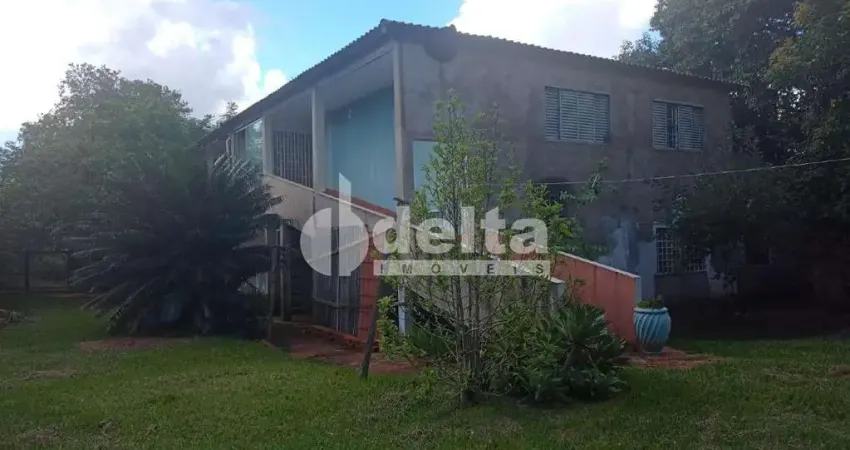 Chácara / sítio com 3 quartos à venda no Shopping Park, Uberlândia 