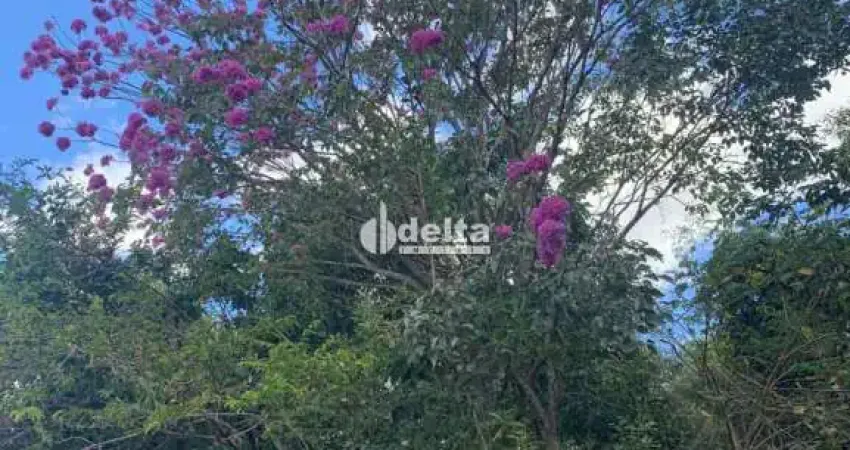 Chácara disponível para venda na região rural em Uberlândia-MG