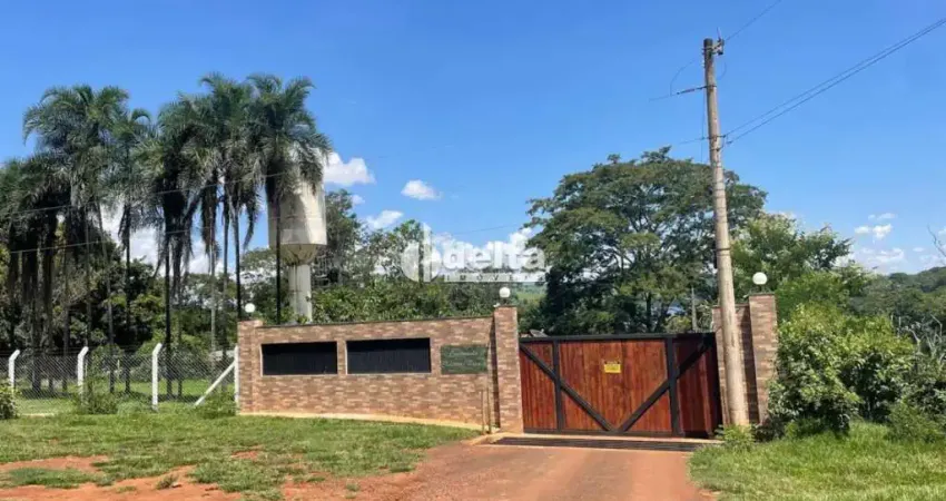 Chácara disponível para venda no bairro conjunto alvorada em uberlândia-mg