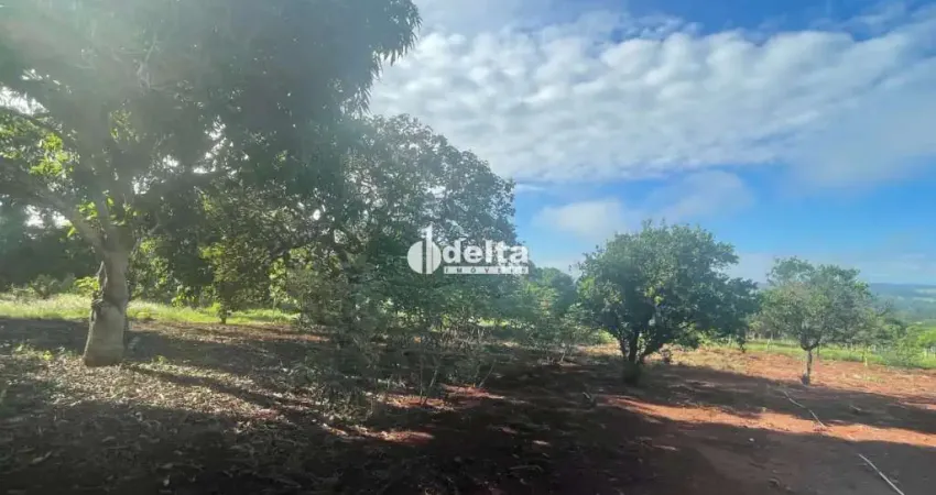 Chacara disponível para venda na zona Rural de Uberlândia-MG