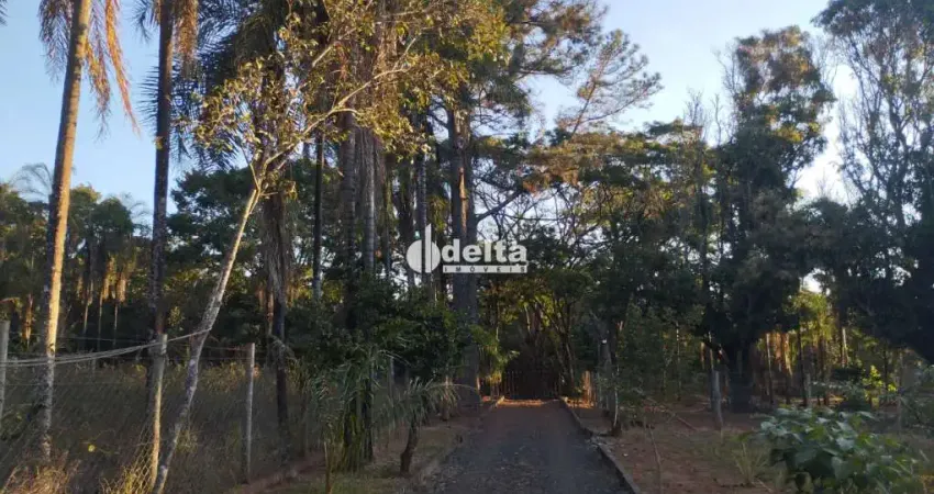Chácara disponível para venda na Zona Rural de Uberlândia-MG