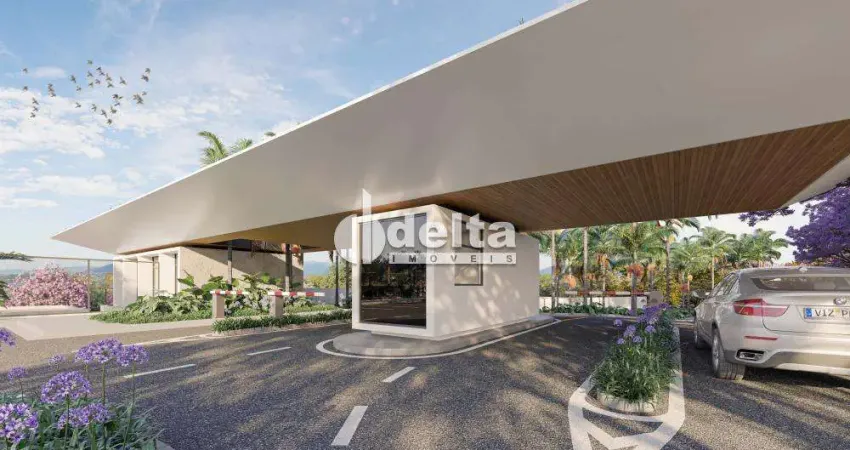 Terreno à venda na Rua Lapa do Lobo, 586848, Granja Marileusa, Uberlândia