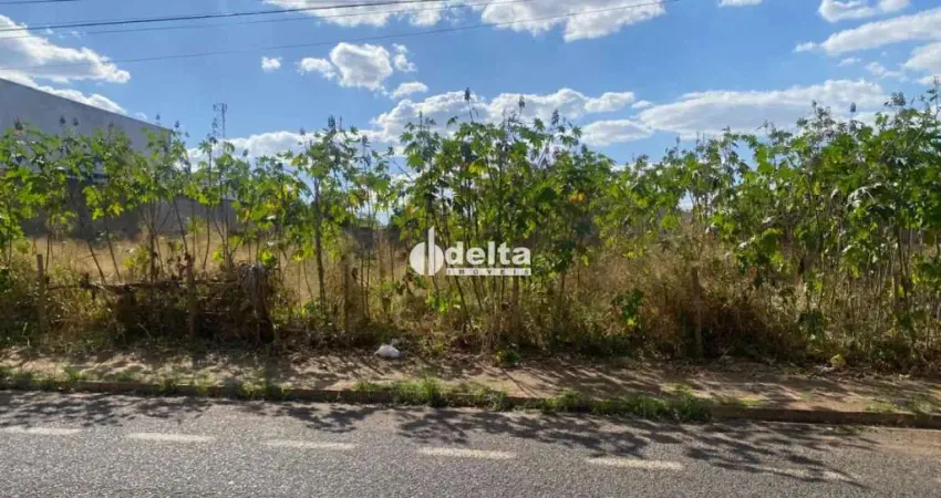 Terreno disponível para venda no bairro Jardim das Palmeiras em Uberlândia MG