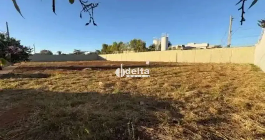 Terreno disponível para venda no bairro novo mundo em uberlândia-mg.