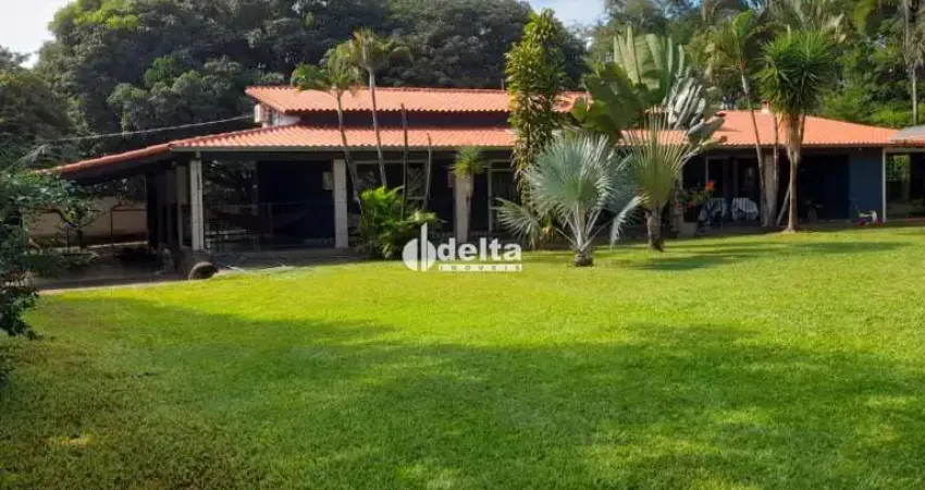 Chácara disponível para venda em área rural de uberlândia em uberlândia - mg