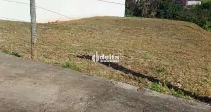 Terreno disponível para venda no bairro vigilato pereira em uberlândia - mg.