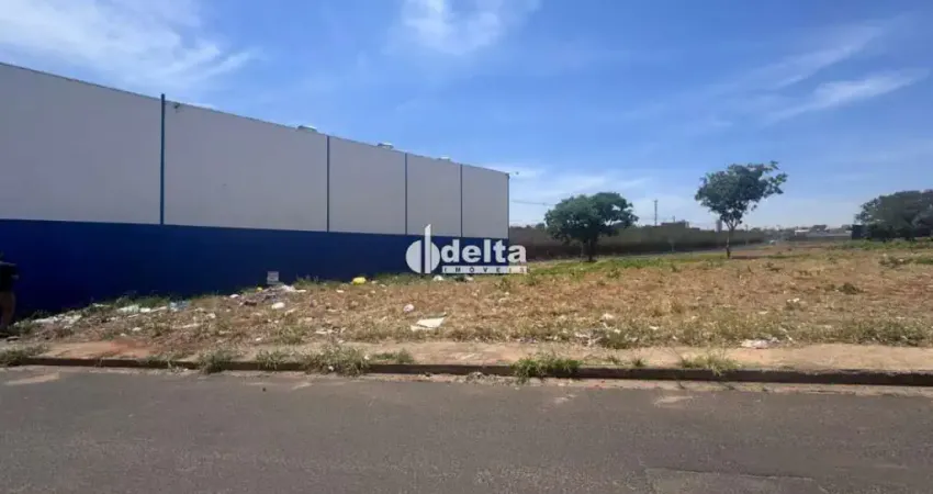 Terreno disponível para venda no bairro santa rosa em uberlândia - mg.