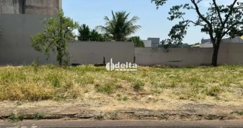 Terreno disponível para venda no bairro  jardim karaiba em uberlândia-mg