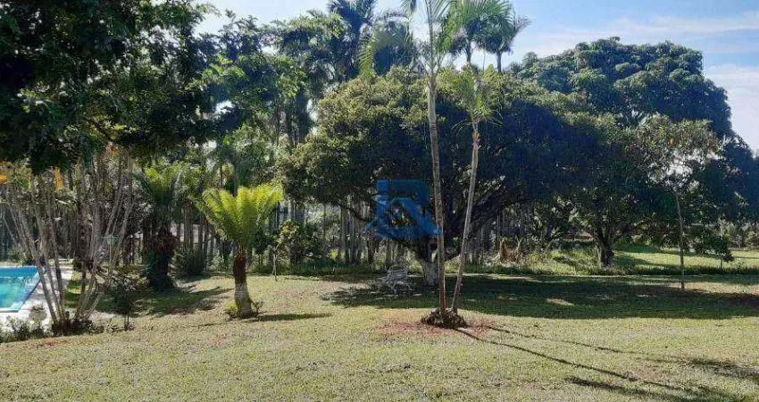 Chácara com 3 dormitórios à venda, 20000 m² por R$ 1.300.000,00 - Ponte Nova - Itatiba/SP