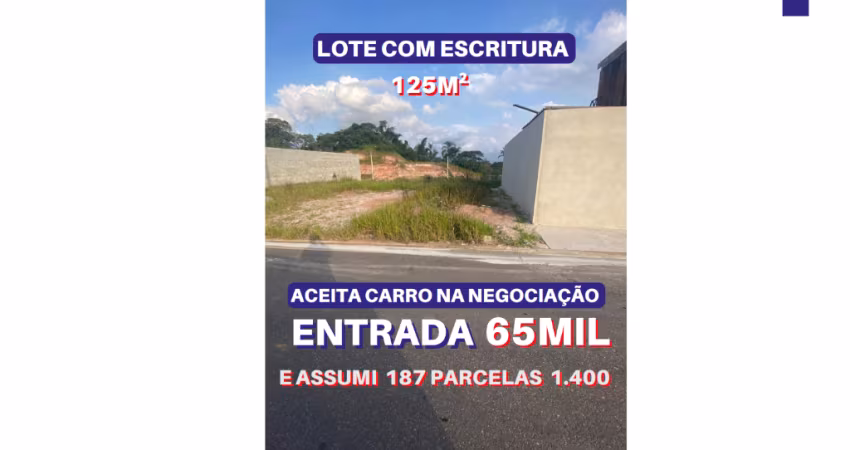 Vende lote 125m2 com escritura dentro do loteamento planejado Novo Badra em Suzano