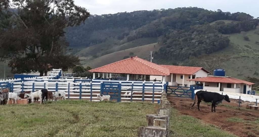 Fazenda com 2 salas à venda na fazenda lemes Rio Espera, 248, Rio Melo, Rio Espera