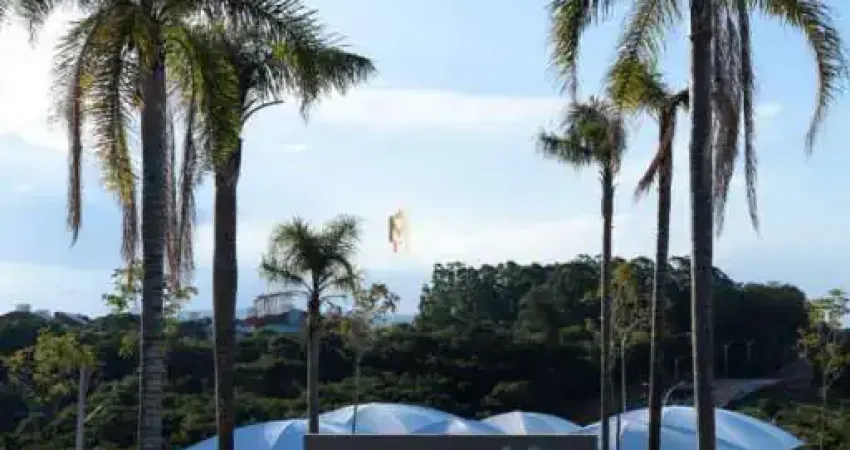 Lançamento parcela a entrada 4 x sem conculta spc e serasa