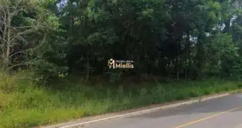 Terreno à venda na Avenida João Carlos Viale Dias, próximo 9, Tarumã, Viamão