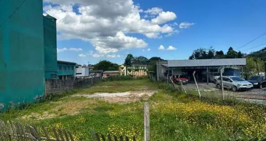 Oportunidade única: terreno na parada 52, na avenida! viamão rs