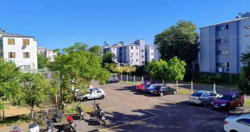 Apartamento à venda em novo hamburgo, canudos - minha casa minha vida