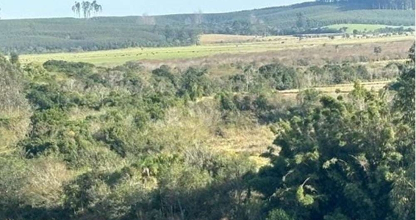 Fazenda-Sítio para venda  no Bairro CENTRO em TAPES