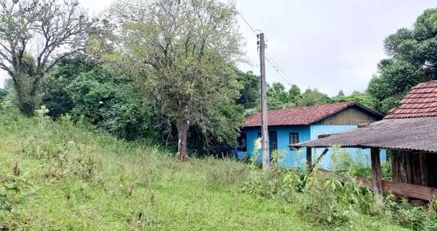 Fazenda à venda na Linha Baixa Grande, 120, Centro, Riozinho