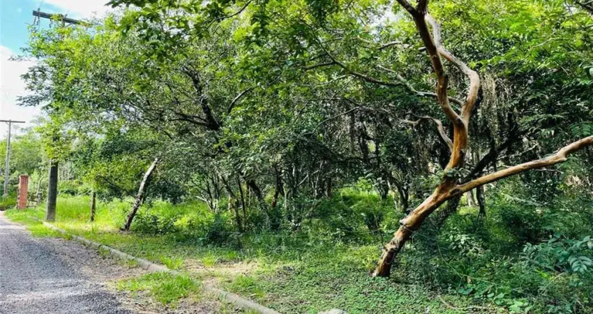 Terreno-lote residencial para venda  no centro de nova santa rita